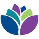 SAFE Alliance