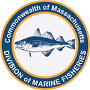 Massachusetts Division of Marine Fisheries