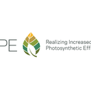 Realizing Increased Photosynthetic Efficiency (RIPE) Project