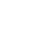 Steering Committee on Northern Metropolis