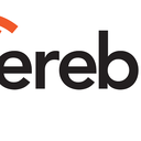 Cerebras Systems