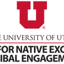 Center for Native Excellence and Tribal Engagement