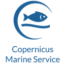Copernicus Marine Service