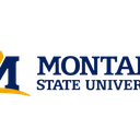 Montana State University