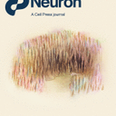 Neuron