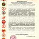 Bolivian Workers' Central (COB)