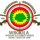 Oromo Liberation Army (OLA)