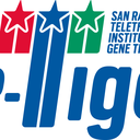 San Raffaele Telethon Institute for Gene Therapy