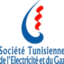 Société Tunisienne de l'Électricité et du Gaz (STEG)
