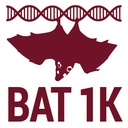 Bat1K consortium