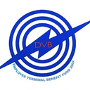 Delhi Vidyut Board (DVB)