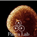 Stanford Medicine Pașca Laboratory