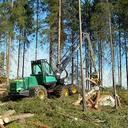 Forest Science