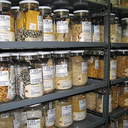 National Plant Germplasm System