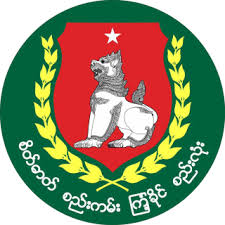 Union Solidarity and Development Party (USDP)