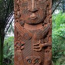 Tāne