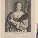 Stuart Countess