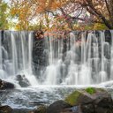 Glen Mills