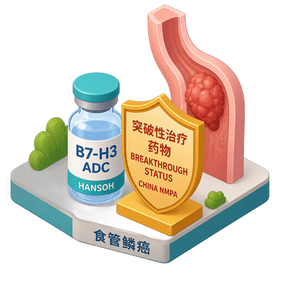 Hansoh's B7-H3 ADC wins China breakthrough status for esophageal cancer