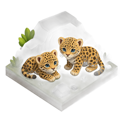 Amur leopard conservation breeding resumes in Helsinki