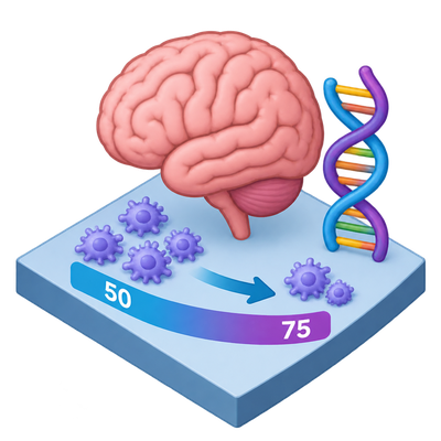 Study maps sweeping brain genome changes between ages 50 and 75
