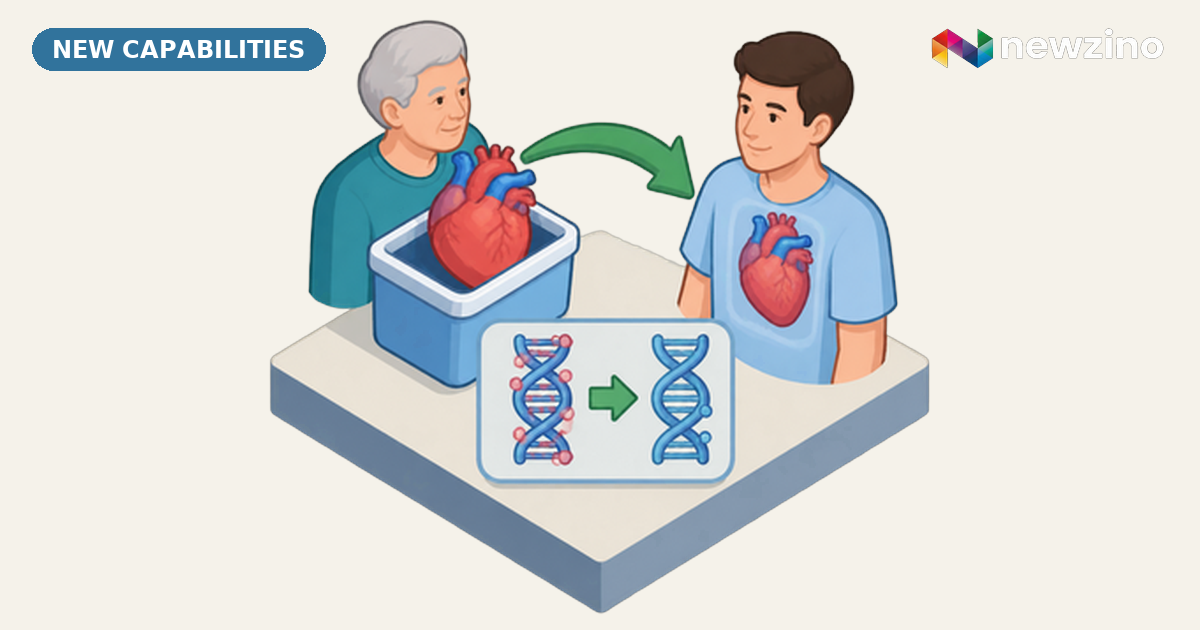 Transplanted Hearts Adjust Biological Age to Match New Hosts